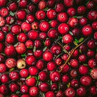 Cranberry Sauce