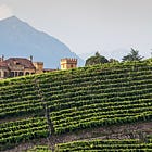 In Praise of the Other Pinot. The White One.