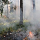 Forest Service to Conduct Controlled Burns in Page County 