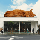 Are you feline it? 