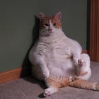 Big Beautiful Blowies For Billionaires Budget Bill Not Kicking Poors Hard Enough, Somebody Should Fix That!