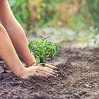 Naked gardening folklore