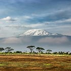 Understanding Africa's Fintechs
