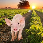 Molecular farming is coming for your genes