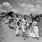 Tantura Documentary Sparks Crucial Debate about Israel and the Palestinian Nakba – New Study of 1948 Israeli Massacre supports Eyewitness Survivors' Reports