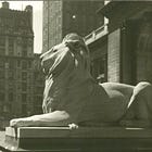 Articles about Research