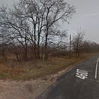 "Mar-a-Lago is calling Budapest!" - Post-election in the provinces