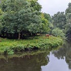 Urban Rewilding: Glasgow's Pollok Country Park
