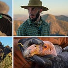 Wingspan takes flight at local film festivals