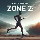 What Zone 2 Looks Like