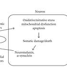 Endotoxin Binding Protein as a proposed Treatment for Parkinson's Disease