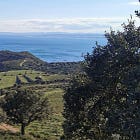 In Catalonia, You Can Have Your Garnacha White, Grey...or Hairy 