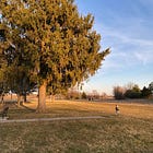 Week 10 (2024)