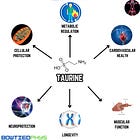 Supplement Spotlight #5: Taurine