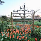 Gardener: Molly Hendry