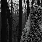 The Woman in the Veil