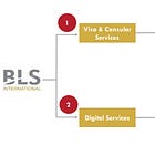 BLS International Services: 50%+ revenue growth, IPO of subsidiary & inorganic growth possibility at PE ratio of 49