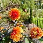 Havenwood October Garden Tour