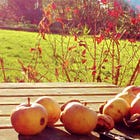 Autumnal Oasis