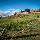 Wine, Gods, & Barnyard - Where Ancient Rituals Meet Modern Winemaking