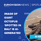 Image of giant octopus ‘spotted in Bali’ is AI-generated