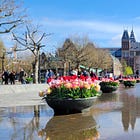 [Travel Advice] Amsterdam (again)