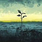 The opportunities and limitations of career growth