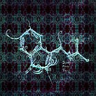 DMT & Nanoterminator Sludge