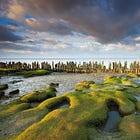 UNESCO World Heritage Site: The Wadden Coast of Groningen