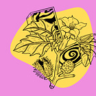 Nature's Unforgiving Bloom: A Dive into Datura