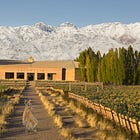 Bodegas Salentein: how a Dutch family seized opportunity in Argentina