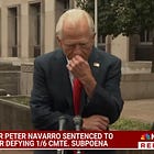 Peter Navarro, Go To Jail And Never Come Back For Four Months!