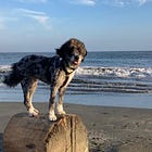 The Dog Who Named Herself