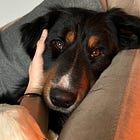 Hot Takes with Hank - Does News Drive the Market? Or does the Market Drive the News?