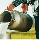 Raw milk is not safe to drink and doesn't offer unique health benefits