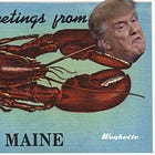 Maine Secretary Of State Yanks Trump Right Off Primary Ballot, For Doing Bad Things!