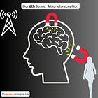 How is our brain affected by magnetic fields?