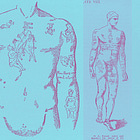 Criminal ancestry: The secret art of using tattoos to investigate your family history