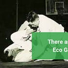 There are no Eco Games.