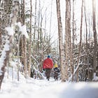 10 raisons de vivre au Québec
