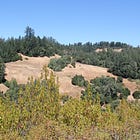 Two new parks approved in West County