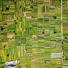 Enabling smallholder farmers with Tech