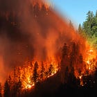 Wildfire risk reduction grants available in west county 