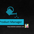 What Does It Look Like to Be A Product Manager?