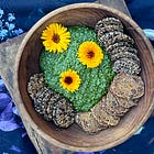 A gentle introduction to urban foraging