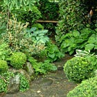 Garden design challenges: easy ways to deal with a shady garden 