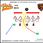 Cool Clips: Tennessee's "Bears" path Sim