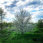 A Sense of Place