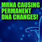 Coronavirus messenger RNA creates permanent changes in the human genetic code