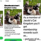 Oh Sh*t, My App is Successful and I Didn’t Think About Accessibility